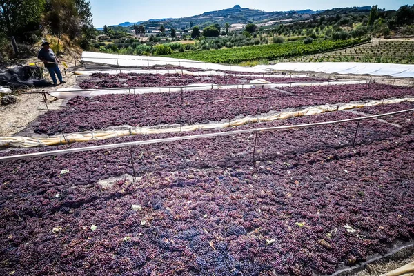 çekme hem de Yunanistan kuru kuru üzüm