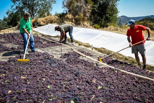 çekme hem de Yunanistan kuru kuru üzüm