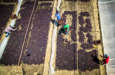 çekme hem de Yunanistan kuru kuru üzüm