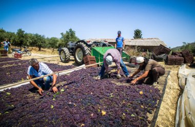 çekme hem de Yunanistan kuru kuru üzüm