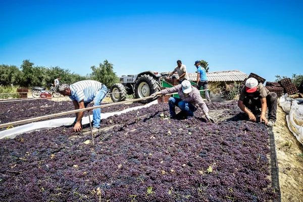 çekme hem de Yunanistan kuru kuru üzüm