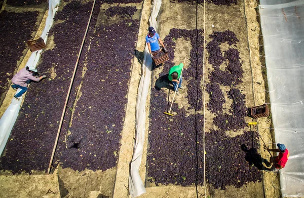 çekme hem de Yunanistan kuru kuru üzüm