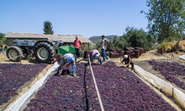 çekme hem de Yunanistan kuru kuru üzüm