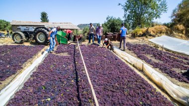 çekme hem de Yunanistan kuru kuru üzüm