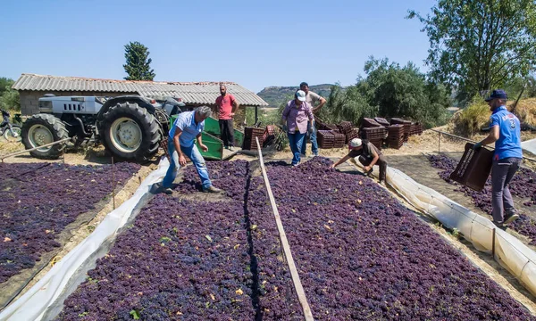 Picareta e passas secas em Grecia — Fotografia de Stock