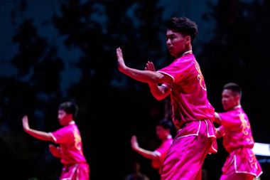 Geleneksel Japon savaş sanatları gösteri fakülte