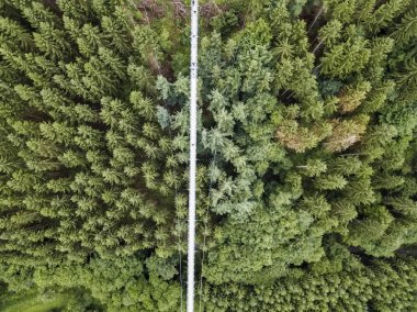 Geierlay asma köprü, Moersdorf, Almanya