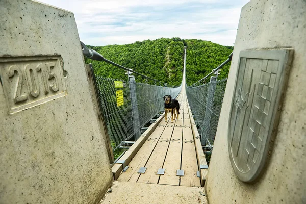 Pont suspendu Geierlay, Moersdorf, Allemagne — Photo