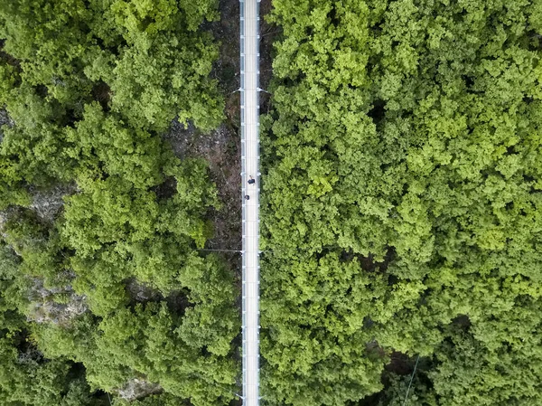 Geierlay hängebrücke, moersdorf, deutschland — Stockfoto