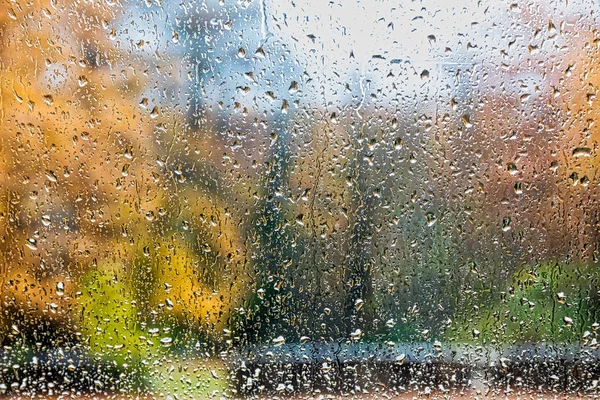 Regentropfen auf ein Fenster. Wald im Hintergrund verwischen. — Stockfoto