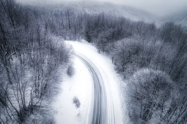 白雪皑皑的丛林与道的鸟瞰图 — 图库照片