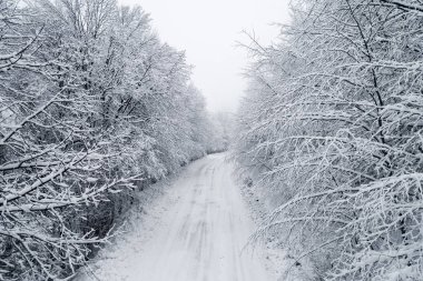 Havadan görünümü karlı ormanında Naoussa Kuzey Yunanistan'da alanında bir yol ile. Yukarıdan bir dron ile yakalanan.
