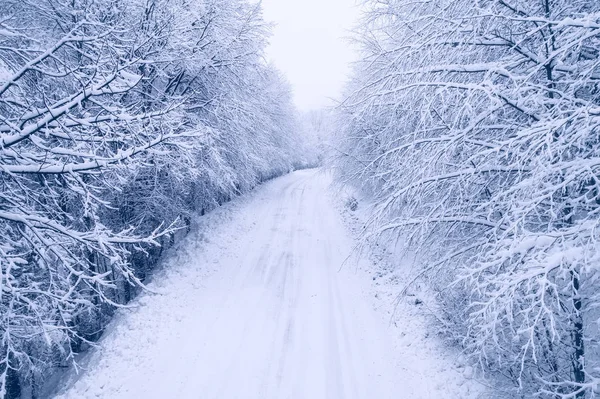 Aerial View Snowy Forest Road Area Naoussa Northern Greece Captured — Stock Photo, Image