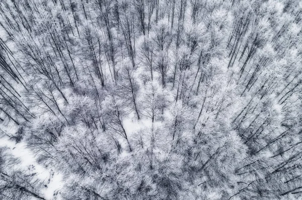Luftaufnahme Des Waldes Winter Während Des Schneefalls Der Gegend Von — Stockfoto