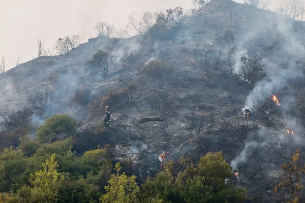 Burnt surface of the earth after a forest fire — Stock Photo, Image