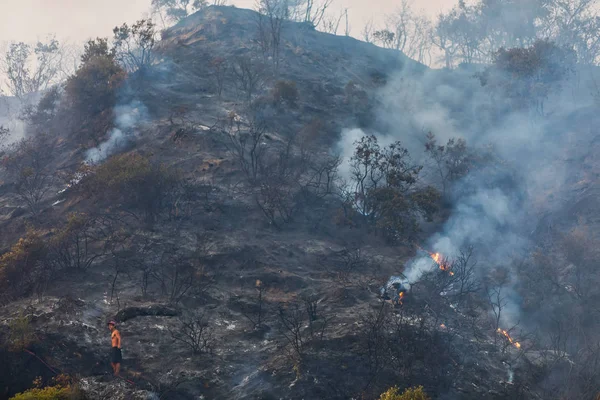 烧焦了的地球表面的森林火灾后 — 图库照片
