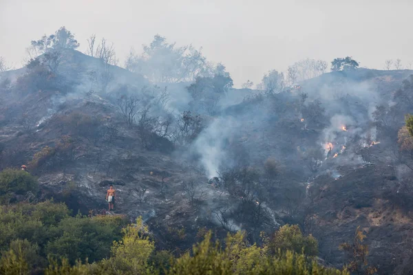 Yanmış bir orman yangını sonra Dünya yüzeyinin — Stok fotoğraf