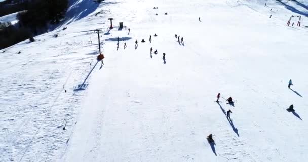 Vasilitsa Greece January 2018 Aerial View Skiers Ski Resort Vasilitsa — Stock Video
