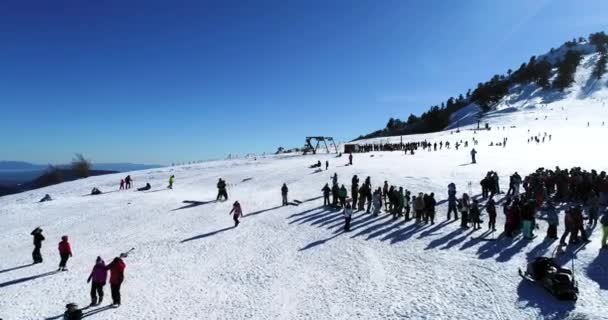 Vasilitsa Greece January 2018 Aerial View Skiers Ski Resort Vasilitsa — Stock Video