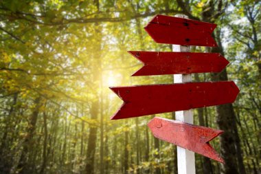 Yeşil orman arka planda kırmızı ahşap yönlü ok işaretleri 