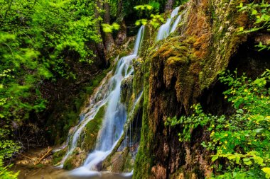 Kuzey Yunanistan Skra yeşil ormanında güzel şelale