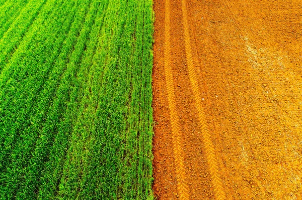 Letecký pohled na zemědělská pole — Stock fotografie