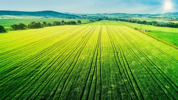 Vista aérea sobre os campos agrícolas — Fotografia de Stock