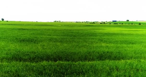 Vista Aérea Sobre Los Campos Agrícolas — Vídeo de stock