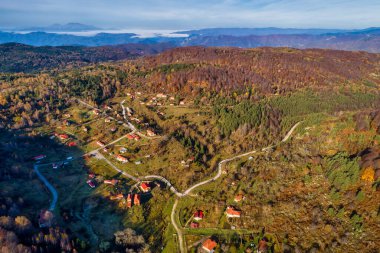 Sonbahar ormanının havadan görünüşü. İnanılmaz bir manzara, ağaçlar...