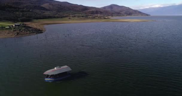 Uma Pequena Ilha Com Muitas Aves Lago Kerkini Norte Grécia — Vídeo de Stock