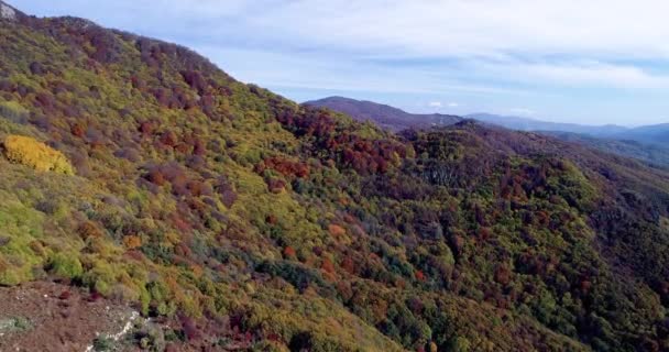 Letecký Pohled Podzimní Les Úžasná Krajina Stromy Červenými Oranžovými Listy — Stock video