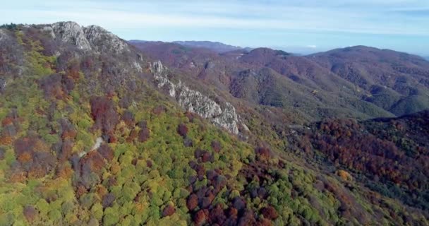 Utsikt Høstskogen Utrolig Landskap Trær Med Røde Oransje Blader Dagtid – stockvideo