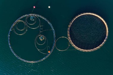 Yunanistan 'ın Chalkidiki kentinde yüzen kafesli balık çiftliği. Hava görünümü