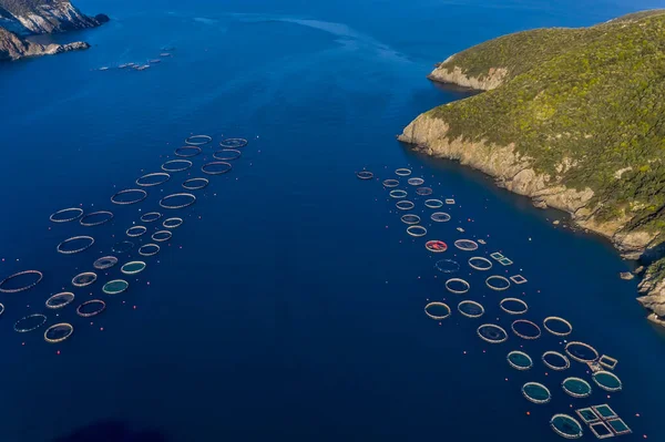 Granja Peces Con Jaulas Flotantes Chalkidiki Grecia Vista Aérea —  Fotos de Stock