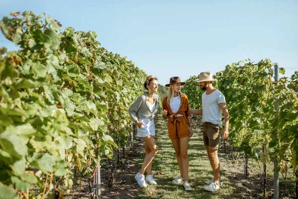 Groep jongeren op de wijngaard — Stockfoto