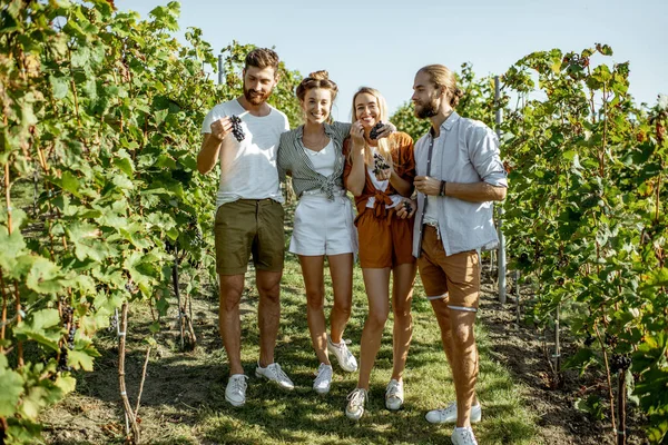 Group of young people on the vineyard — Stock Photo, Image