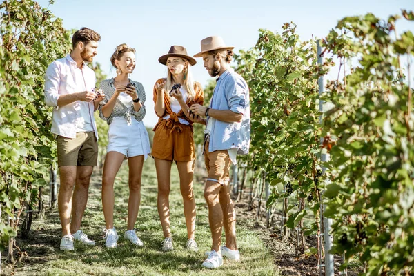 Groep jongeren op de wijngaard — Stockfoto