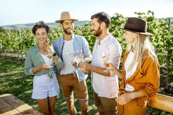 Amis dégustation de vin sur le vignoble — Photo