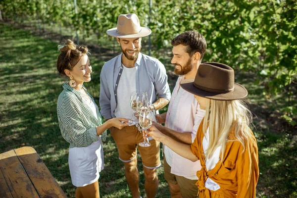 Друзья дегустируют вино на винограднике — стоковое фото