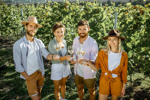 Vänner som provar vin på vingården — Stockfoto