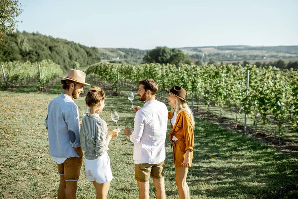 Vänner som provar vin på vingården — Stockfoto