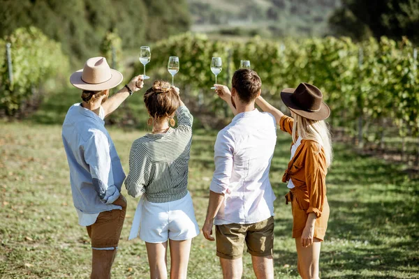 Amici che degustano vino in vigna — Foto Stock