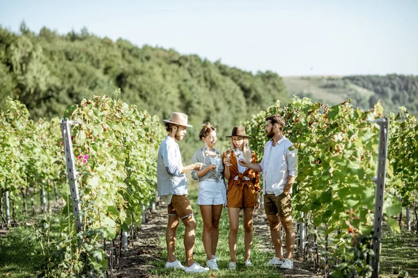 Przyjaciele degustujący wino w winnicy — Zdjęcie stockowe