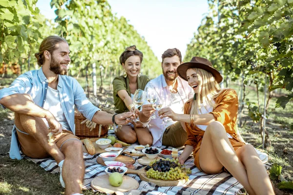 Freunde beim Picknick im Weinberg — Stockfoto