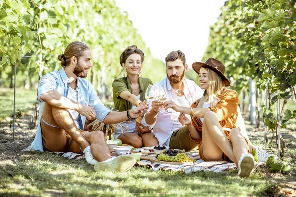 Друзья на пикнике в винограднике — стоковое фото