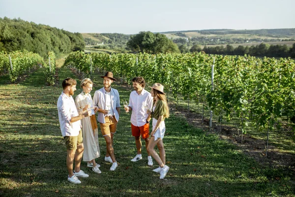 Vänner som provar vin på vingården — Stockfoto