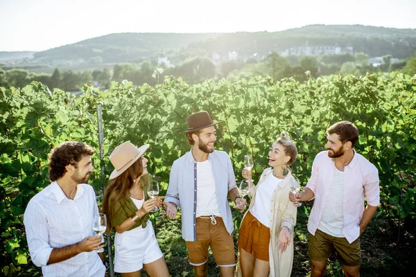 Amici che degustano vino in vigna — Foto Stock