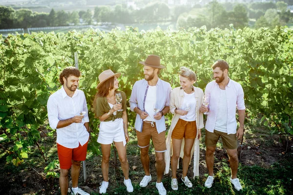 Amici che degustano vino in vigna — Foto Stock