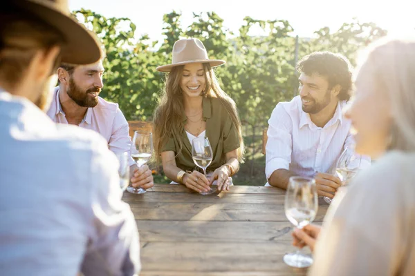 Przyjaciele pijący wino przy stole na winnicy — Zdjęcie stockowe