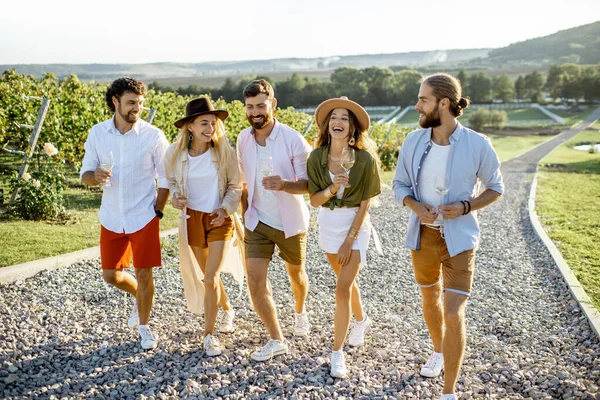 Amici che degustano vino in vigna — Foto Stock